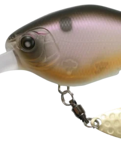 Nishine Lure Works Chippawa DD Blade Medium Diving (8-14ft.) 18 Nishine Lure Works Chippawa DD Blade Medium Diving (8-14ft.)