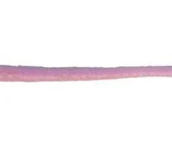 Berkley Japan Powerbait Maxscent D-Worm Dropshot Baits