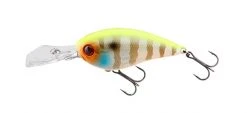 Jackall Shallow Diving (0-7ft.) Digle 2 Plus