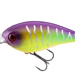 Jackall Shallow Diving (0-7ft.) Digle 2 Plus