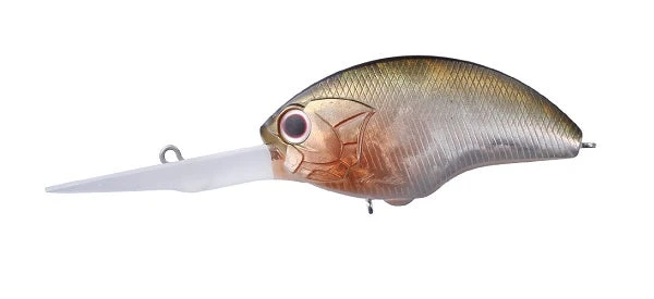 OSP Blitz EX DR 24 OSP Blitz EX DR