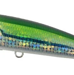 Duo Realis Fang Pop Poppers
