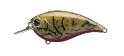 Evergreen USA Shallow Diving (0-7ft.) Flat Force