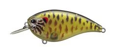Evergreen USA Shallow Diving (0-7ft.) Flat Force