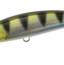 Duo Realis Jerkbaits Fangbait 100SR