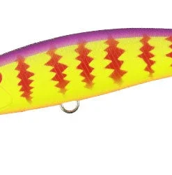 Duo Realis Jerkbaits Fangbait 100SR