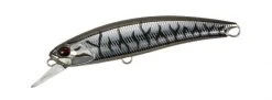 Duo Realis Jerkbaits Fangbait 100SR