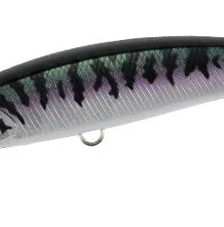 Duo Realis Jerkbaits Fangbait 100SR