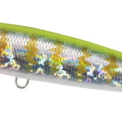 Duo Realis Fangstick 150 Walking