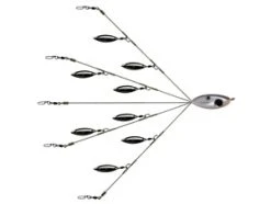 Picasso Flash Back Umbrella Rigs