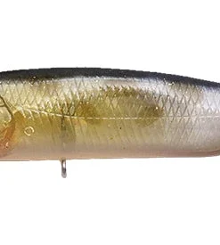 Megabass Karashi