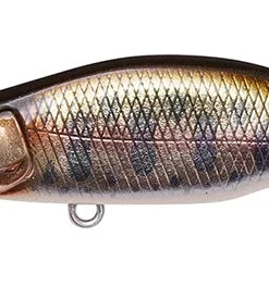 Megabass Great Hunting Humpback 25 Megabass Great Hunting Humpback