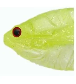 Issei Gill Flat Jr Soft Body 16 Issei Gill Flat Jr Soft Body