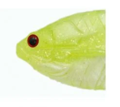 Issei Soft Body Gill Flat Set