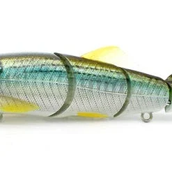 Little Jack Hard Body Gorgon 125 Custom