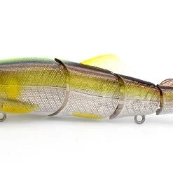 Little Jack Hard Body Gorgon 125 Custom