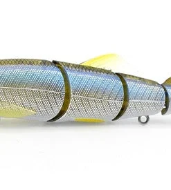 Little Jack Hard Body Gorgon 125 Custom