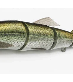 Little Jack Gorgon 125 25 Little Jack Gorgon 125