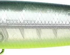 Lucky Craft Gunfish Walking