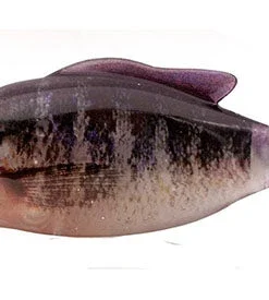 Geecrack Soft Body Gyro Gill