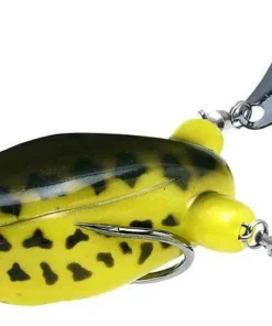 Teckel Frogs Honker Frog 43 Teckel Frogs Honker Frog