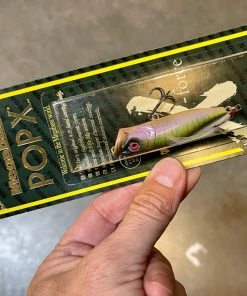 Mibro Warloq 1.5DD Shallow Diving (0-7ft.)