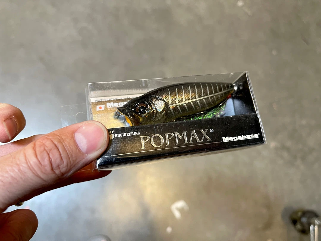 Seaguar Tatsu 4 Seaguar Tatsu