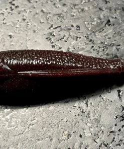 Laysam Creatures Namekuji Worm