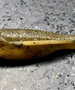 Laysam Creatures Namekuji Worm