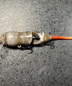 PB Rats Hard Body PB Rat 2 Piece