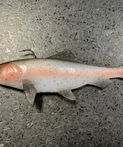 JSJ Bait Co. 9 Inch Trout Recoil