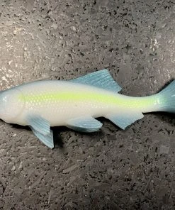 JSJ Bait Co. Hitch Six Recoil Weedless Swimbait