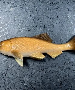 JSJ Bait Co. Hitch Six Recoil Weedless Swimbait