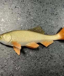 JSJ Bait Co. Hitch Six Recoil Weedless Swimbait