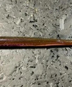 Roboworm Curly Tail Worm