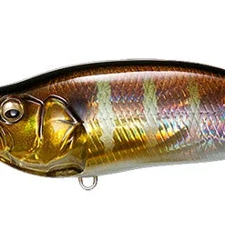 Megabass IxI Shad Type-R