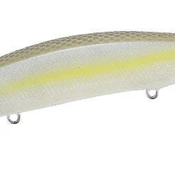 Duo Realis Jerkbait 100SP Silent