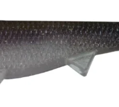 Optimum Baits Baby Boom Boom Weedless Soft Body 23 Optimum Baits Baby Boom Boom Weedless Soft Body