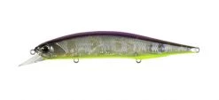Duo Realis Jerkbait 100SP Jerkbaits