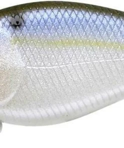 Lucky Craft KJ Flat Crankbait 8 Lucky Craft KJ Flat Crankbait