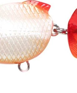 Lucky Craft Kingyo Koaka 40