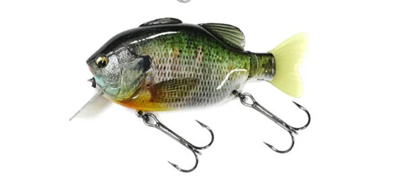 Imakatsu Hard Body Kominami Gilluchiwa 4 Imakatsu Hard Body Kominami Gilluchiwa