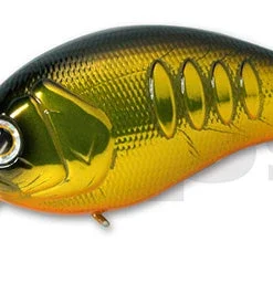 Deps Korrigan Magnum