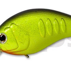 Deps Korrigan Magnum