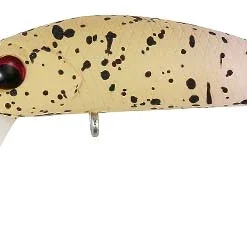 ValkeIN Kuga WW SS 31 ValkeIN Kuga WW SS