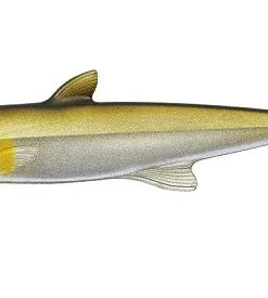 Evergreen International Last Ace 168