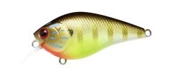 Lucky Craft Shallow Diving (0-7ft.) LC Crankbaits