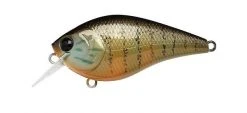 Lucky Craft Shallow Diving (0-7ft.) LC Crankbaits