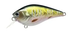 Lucky Craft LC MTO Crankbaits