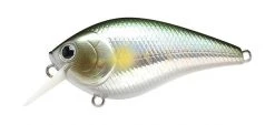Lucky Craft LC MTO Crankbaits
